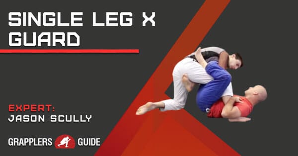 SingleLegX