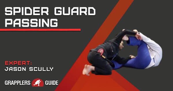 SpiderGuardPassing
