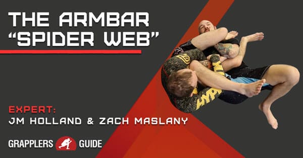 spiderwebcover