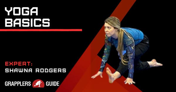 yogabasics